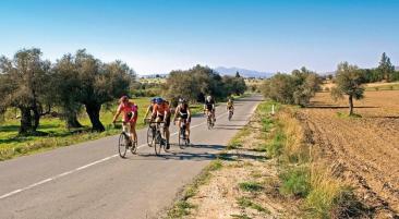 Bikeferien inkl. Flug in CHF