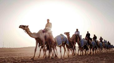 Aktivitäten und Highlights