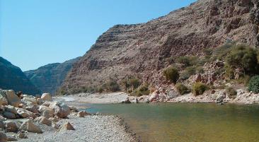 Wadi Arbayeen