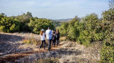 Ajloun - Rockrose Trail