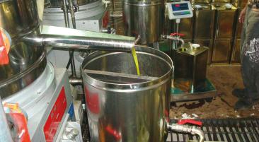 Terra Rossa Olivenpresse