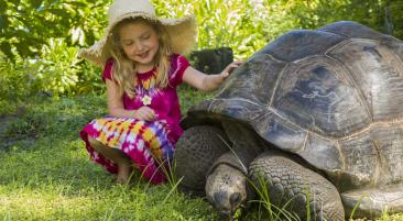Cousin, Curieuse & St. Pierre Inseln
